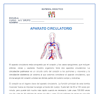 CN_Aparato circulatorio.doc 
